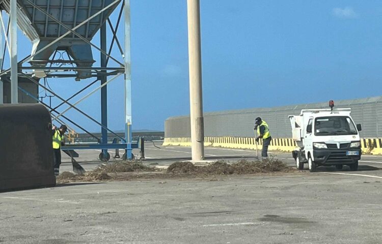 Sfalcio della vegetazione nelle aree operative del Porto Industriale di Oristano